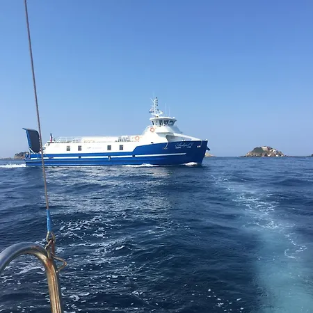 Dans La Pinede Pour 4 Personnes La Londe-les-Maures